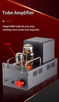 Gold-Plated RCA Tube Headphone Amplifier F6733