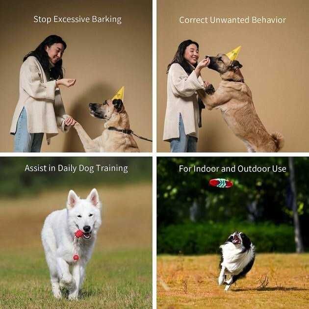Ultrasonic Pet Behavior Training Remote F182244