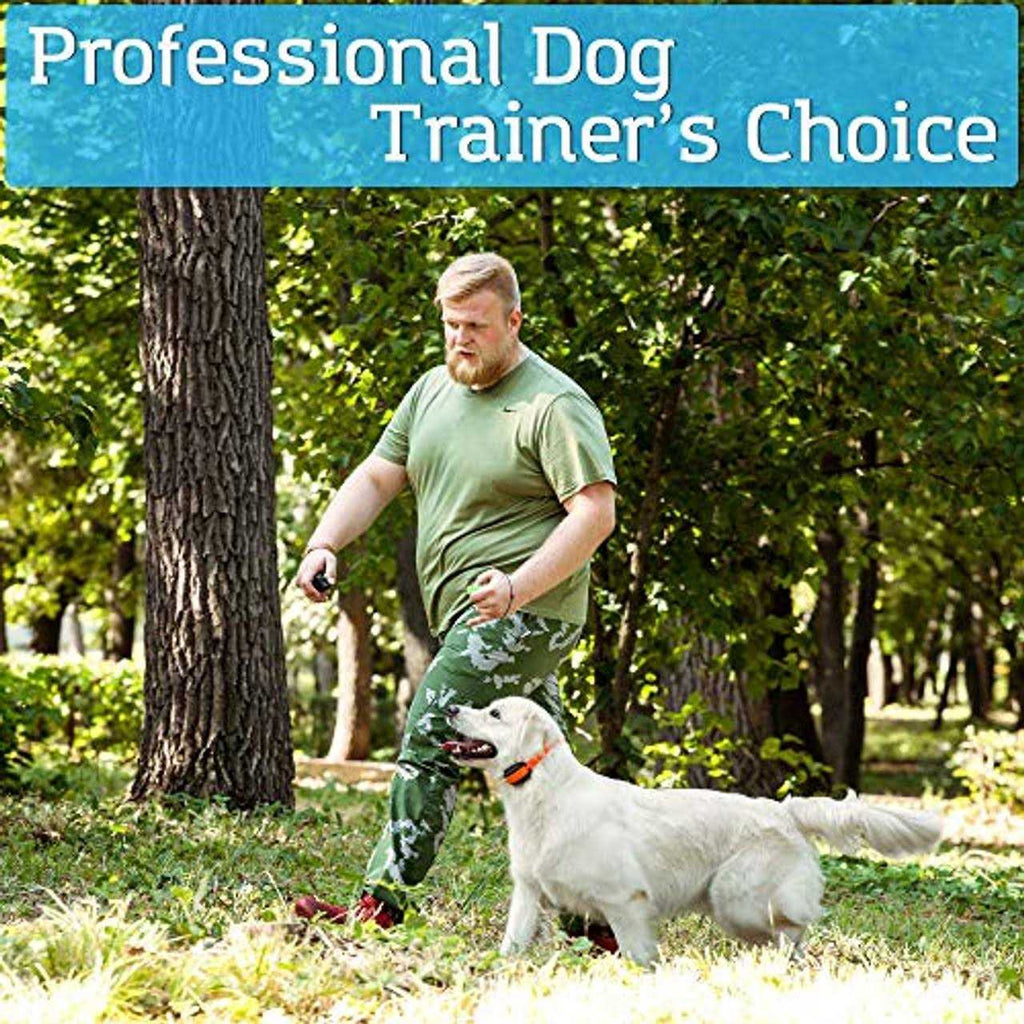 Dog Training Shock Collar with Vibration Shock and Beep B113990