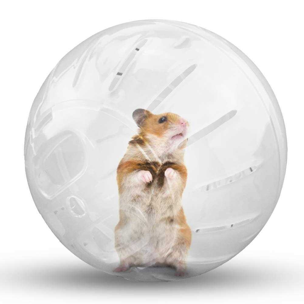 Transparent Hamster Exercise Ball T48698