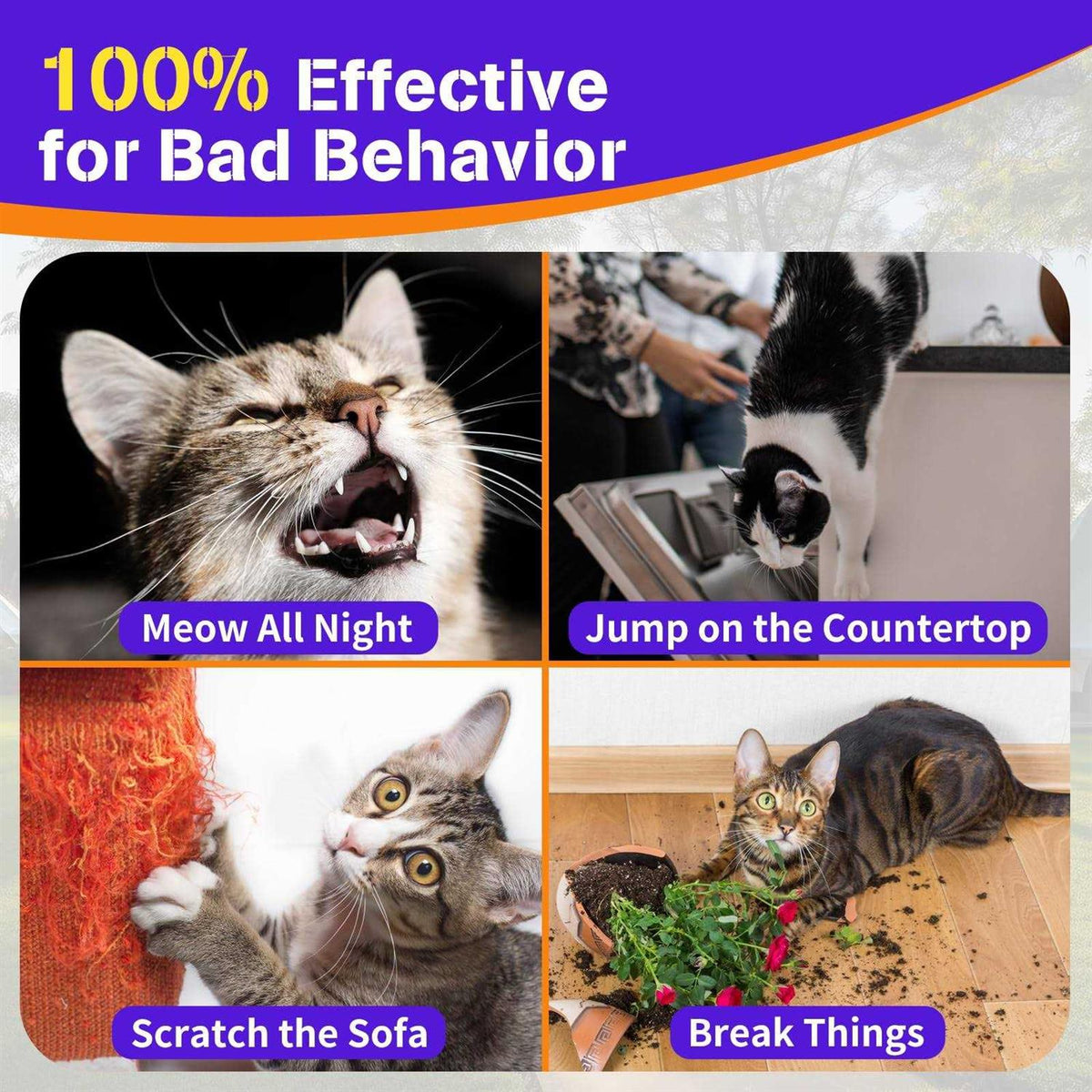Cat Training Collar D91524