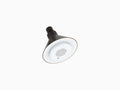 Oil Rubbed Bronze Single Function Showerhead with Wireless Speaker E5646