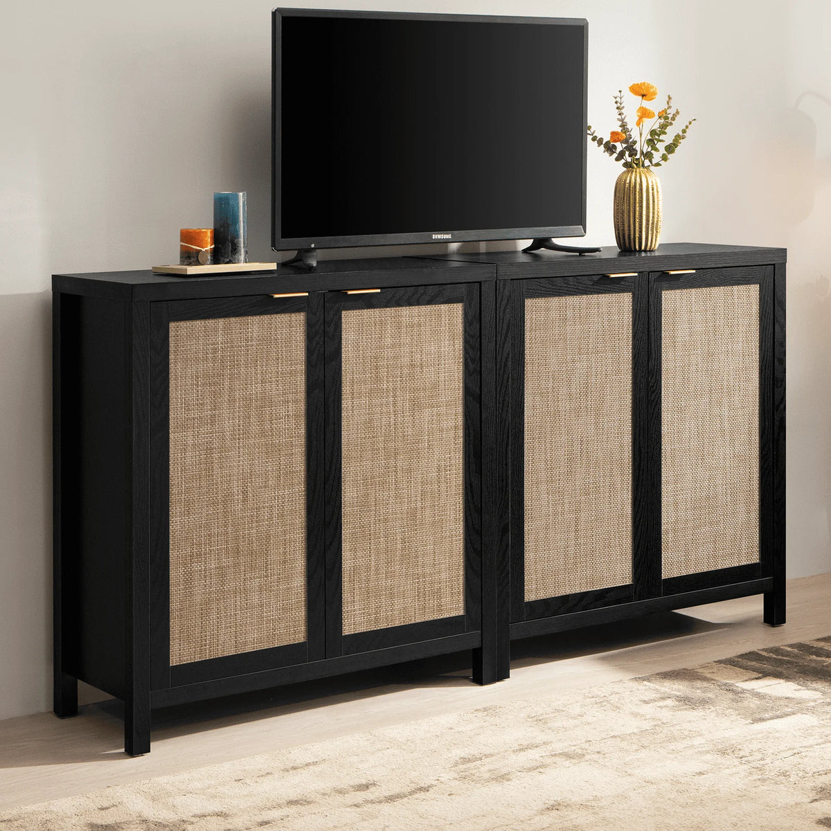 Set of 2 Rattan Cabinet with Doors O695