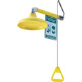 Emergency Drench Shower, Horizontally Mounted Z376
