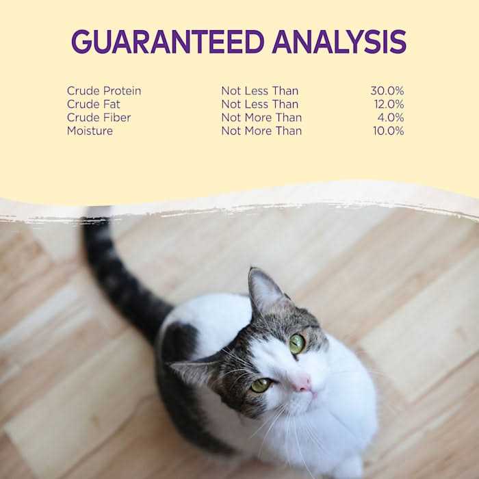 Cat Treats M862