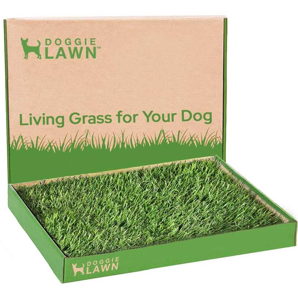 Real Grass Puppy Pee Pads I7462