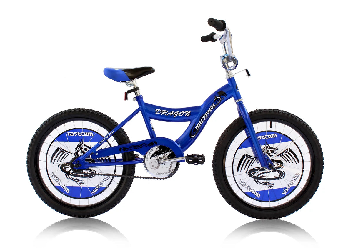 20 In. Blue Bicycle N456308