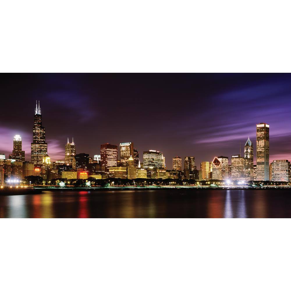 Chicago Skyline Wall Mural V43096