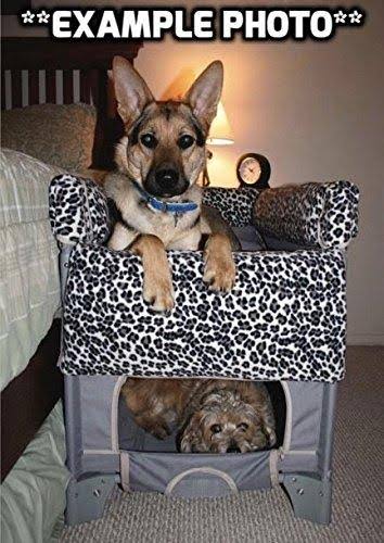 Grey Pet Bunk Bed V5930