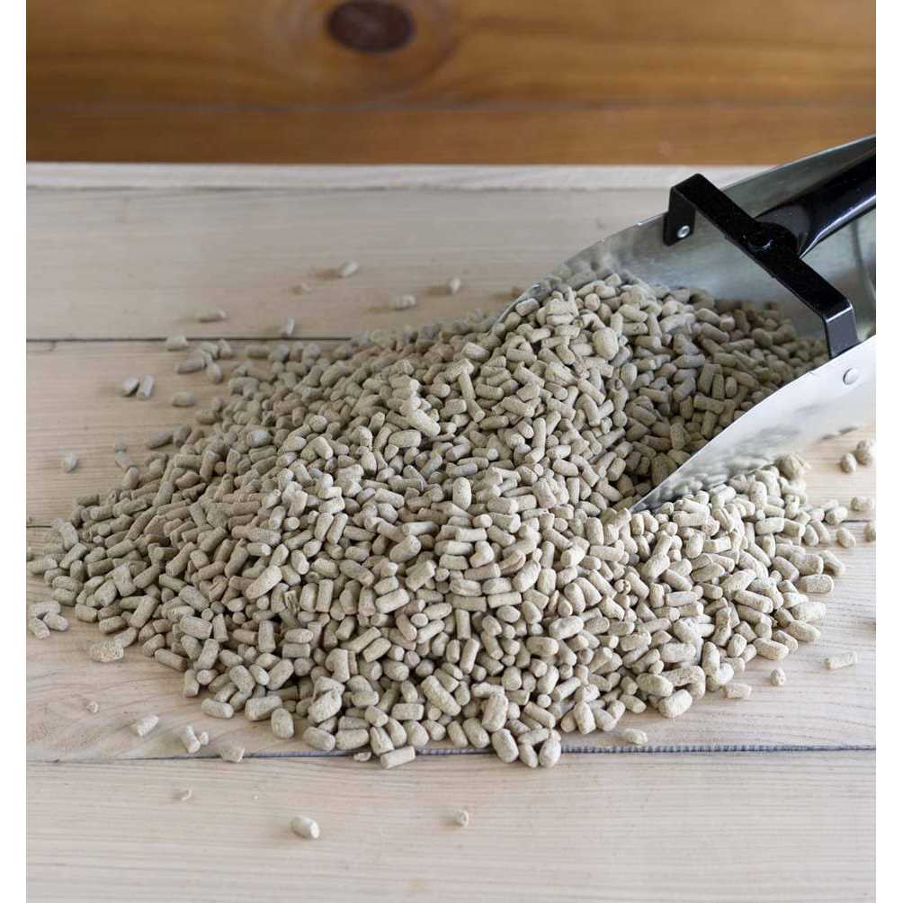 Rice Bran E598127