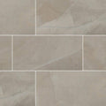 12 in. x 24 in. Polished Porcelain Floor and Wall Tile S210
