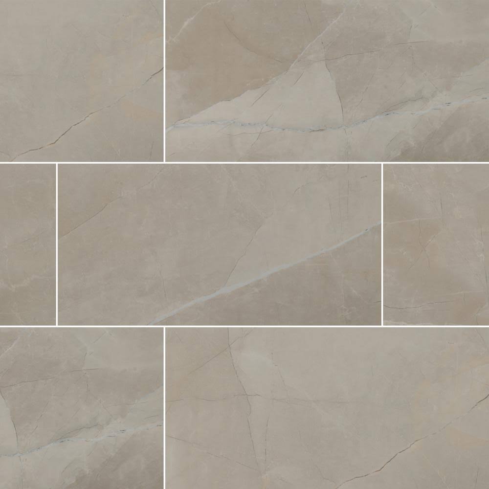 12 in. x 24 in. Polished Porcelain Floor and Wall Tile S210