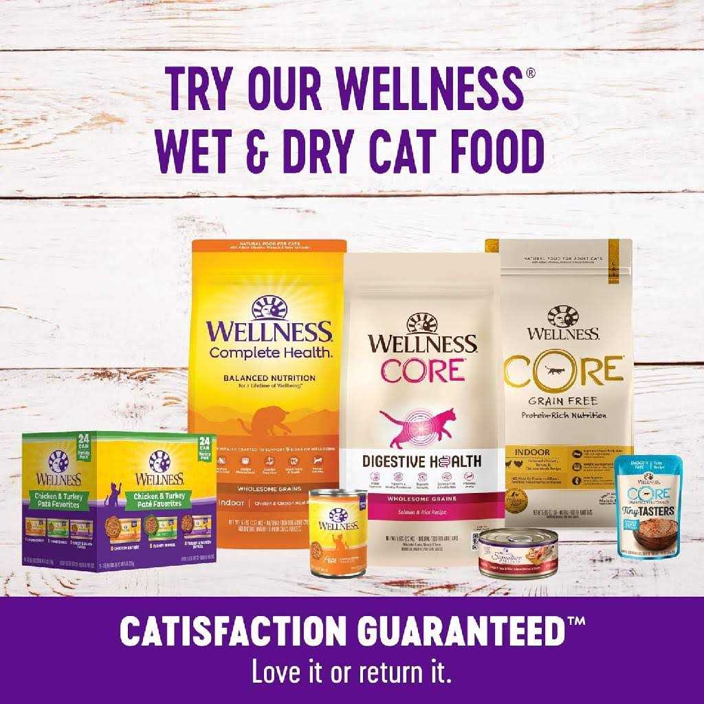 Cat Treats M862