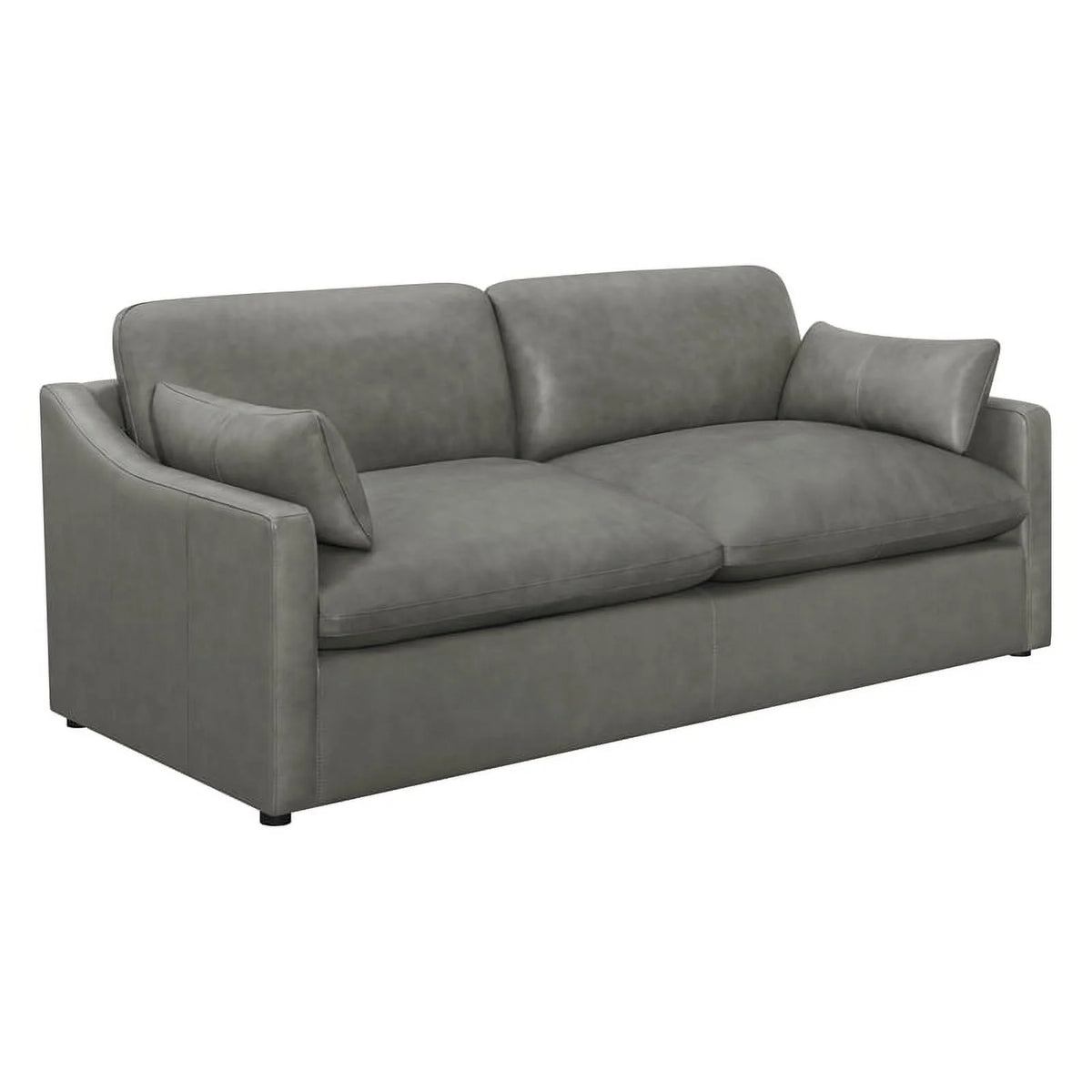 Gray Leather Upholstered Sofa Set C973381