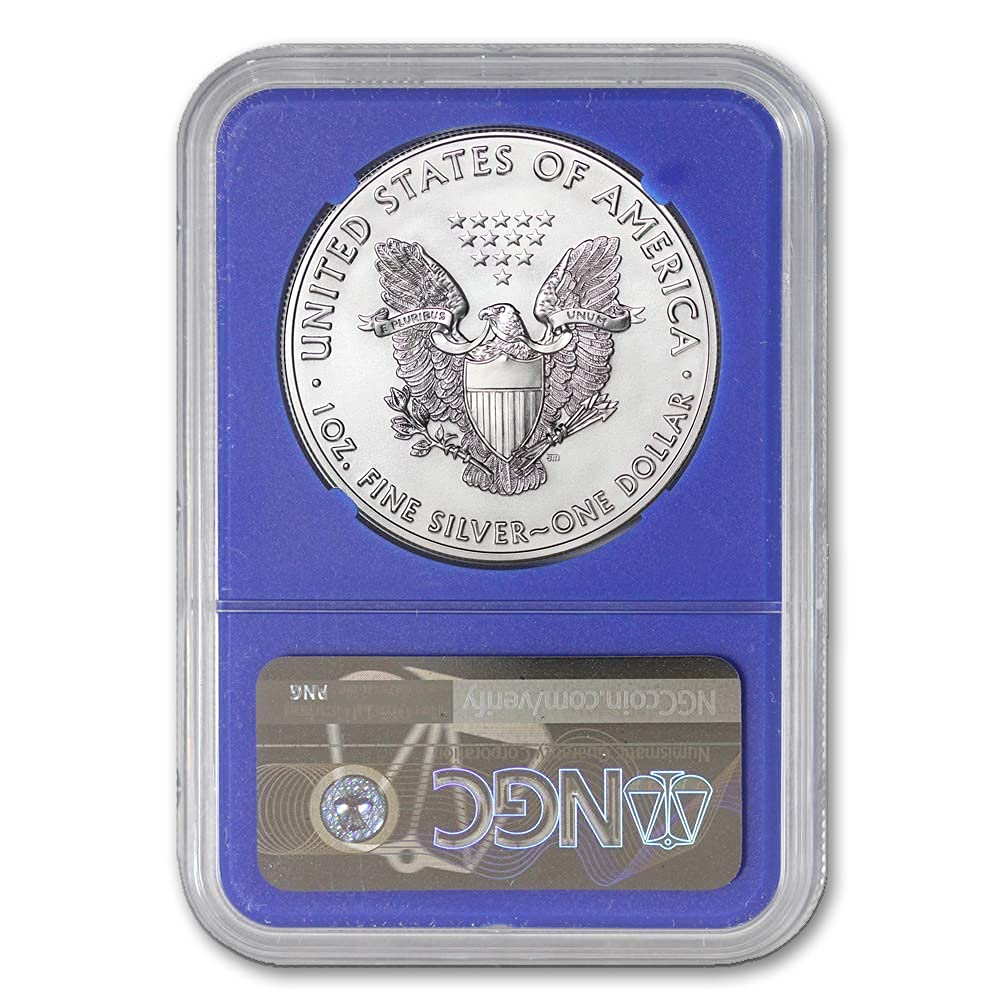 1 oz American Silver Eagle Coin MS70 N40571