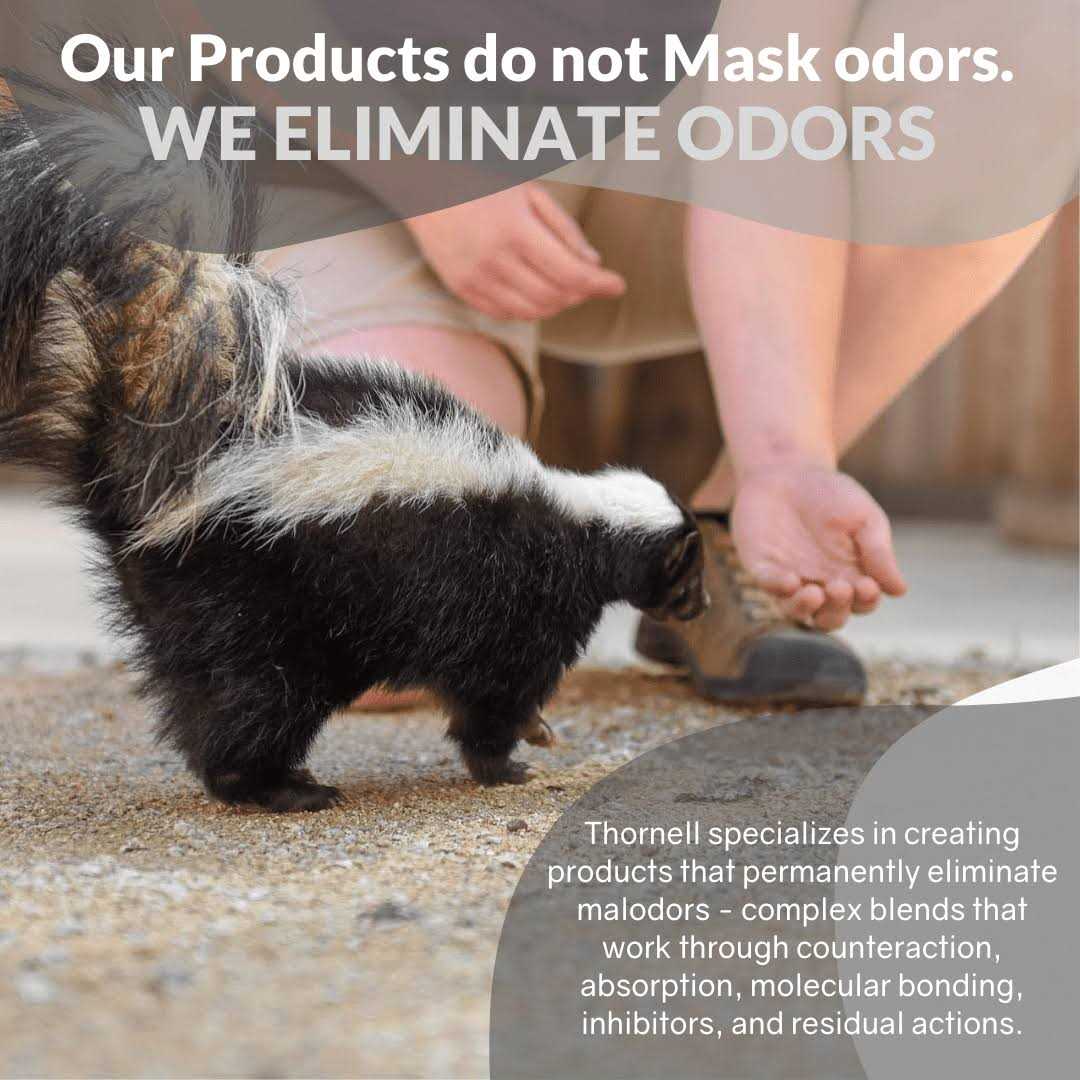 Pet Shampoo Y367378