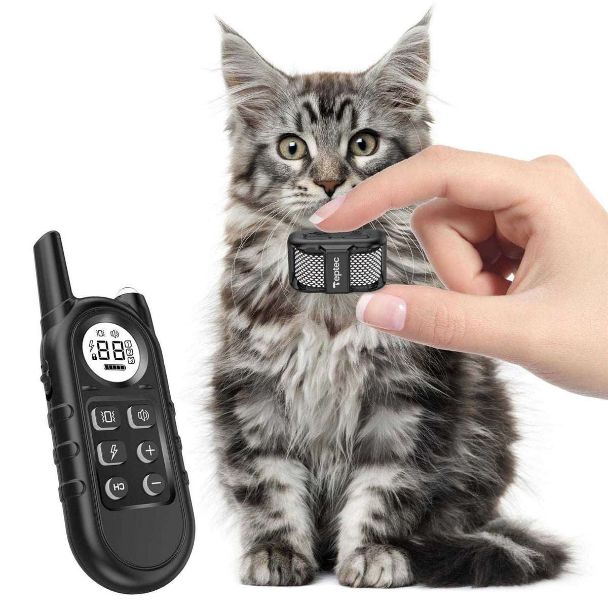 Cat Training Collar D91524