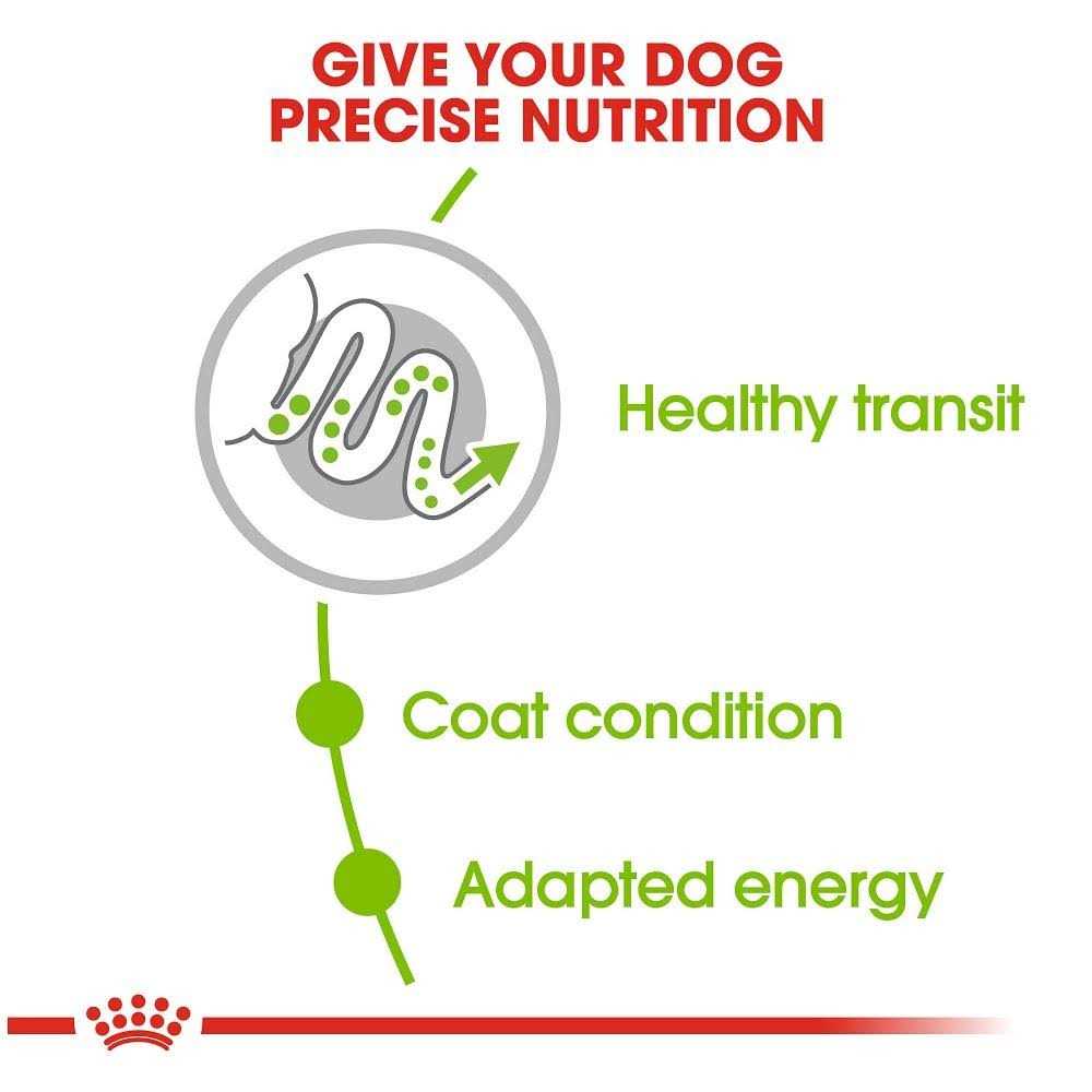 X-Small Adult Dry Dog Food R7411