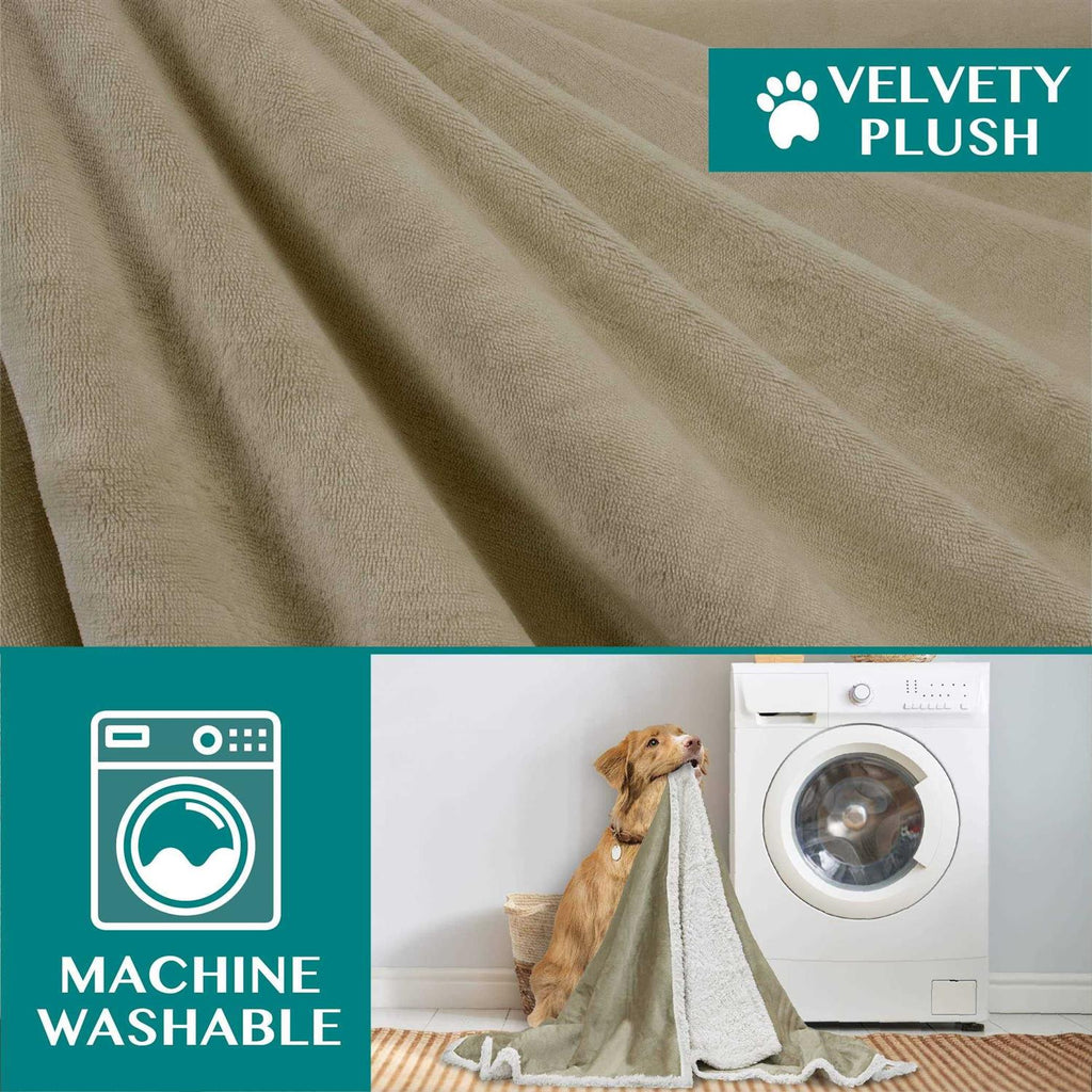Dog Blanket D416