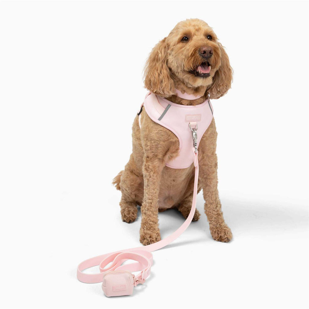 Neoprene Dog Harness S53950
