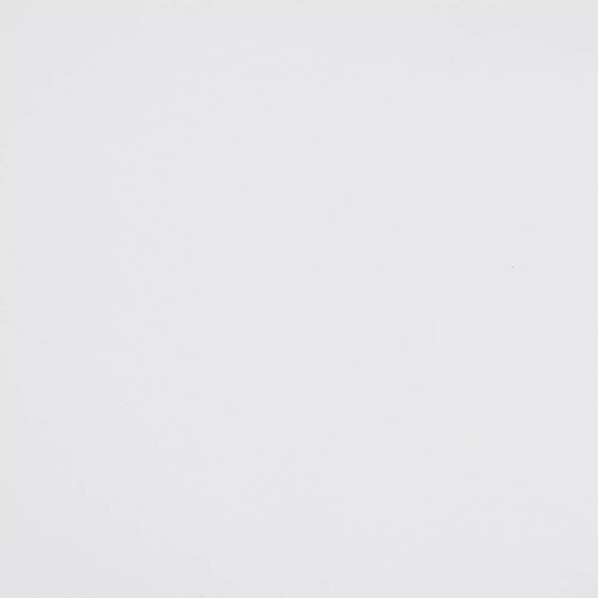 White 2-Drawer Wood Nightstand N912