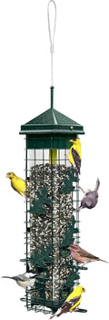 Squirrel-proof Bird Feeder with 6 Feeding Ports, 3.4-pound Seed Capacity W692