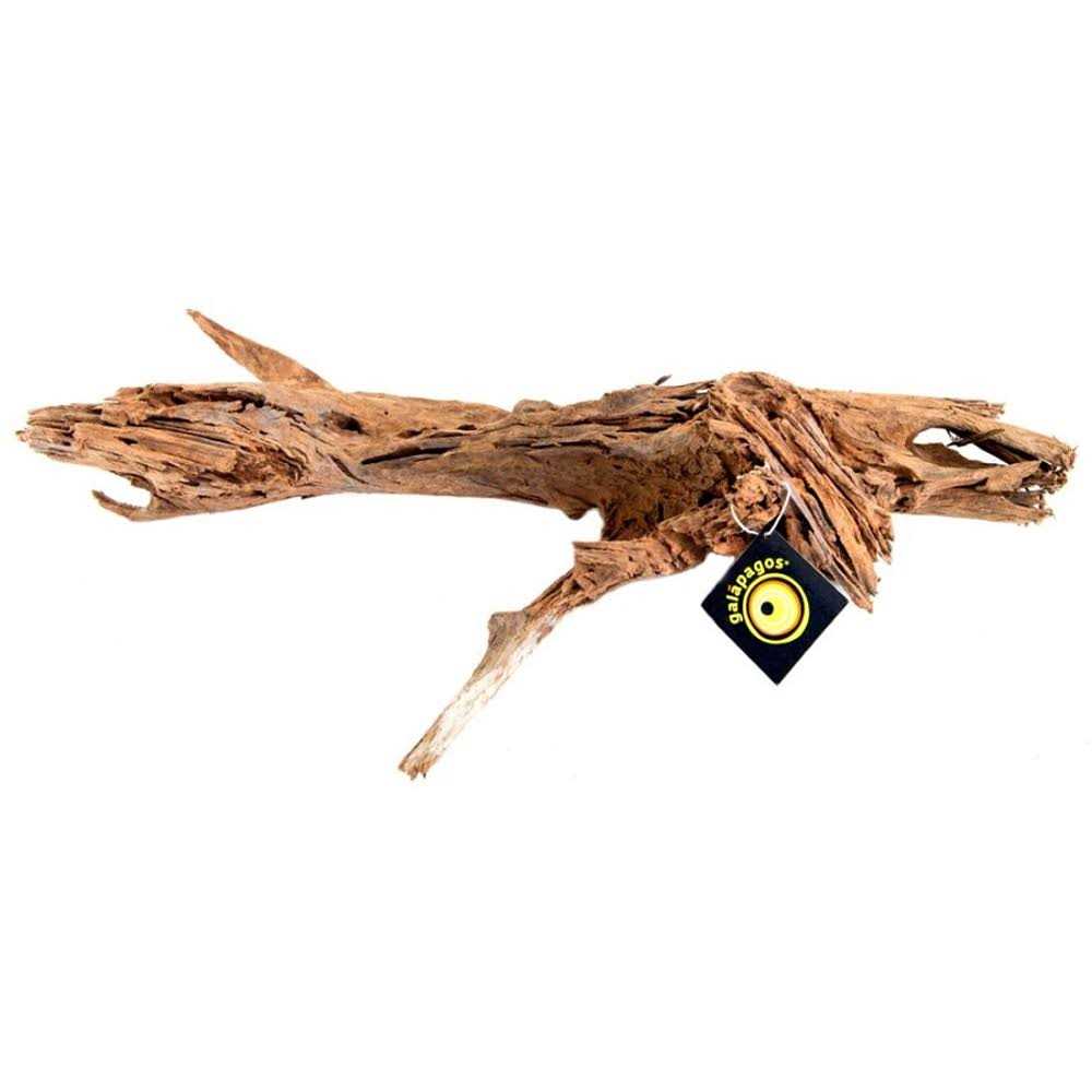 Driftwood Pet Supplies I896998