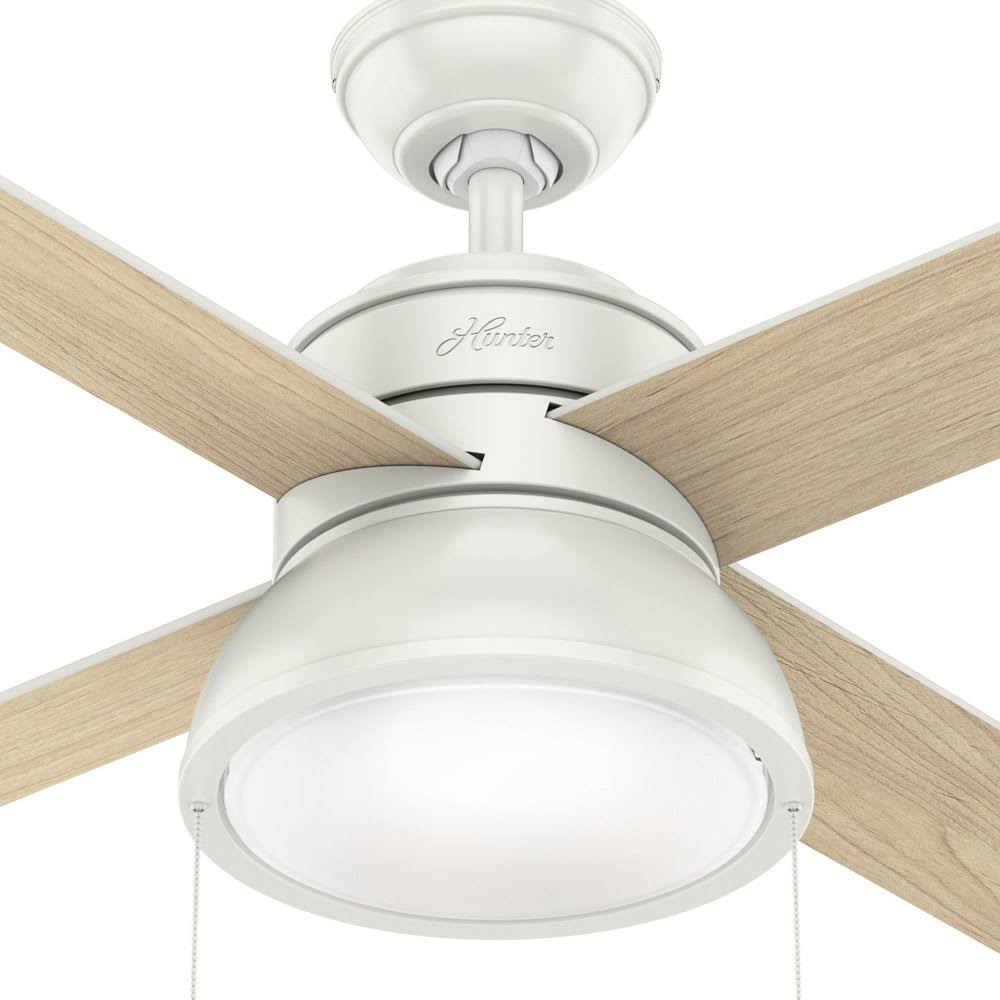 Polished Nickel Ceiling Fan with Light O496787
