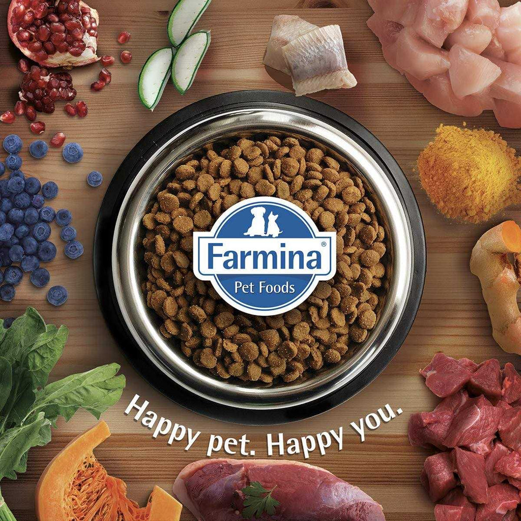 Quinoa Dog Food E957