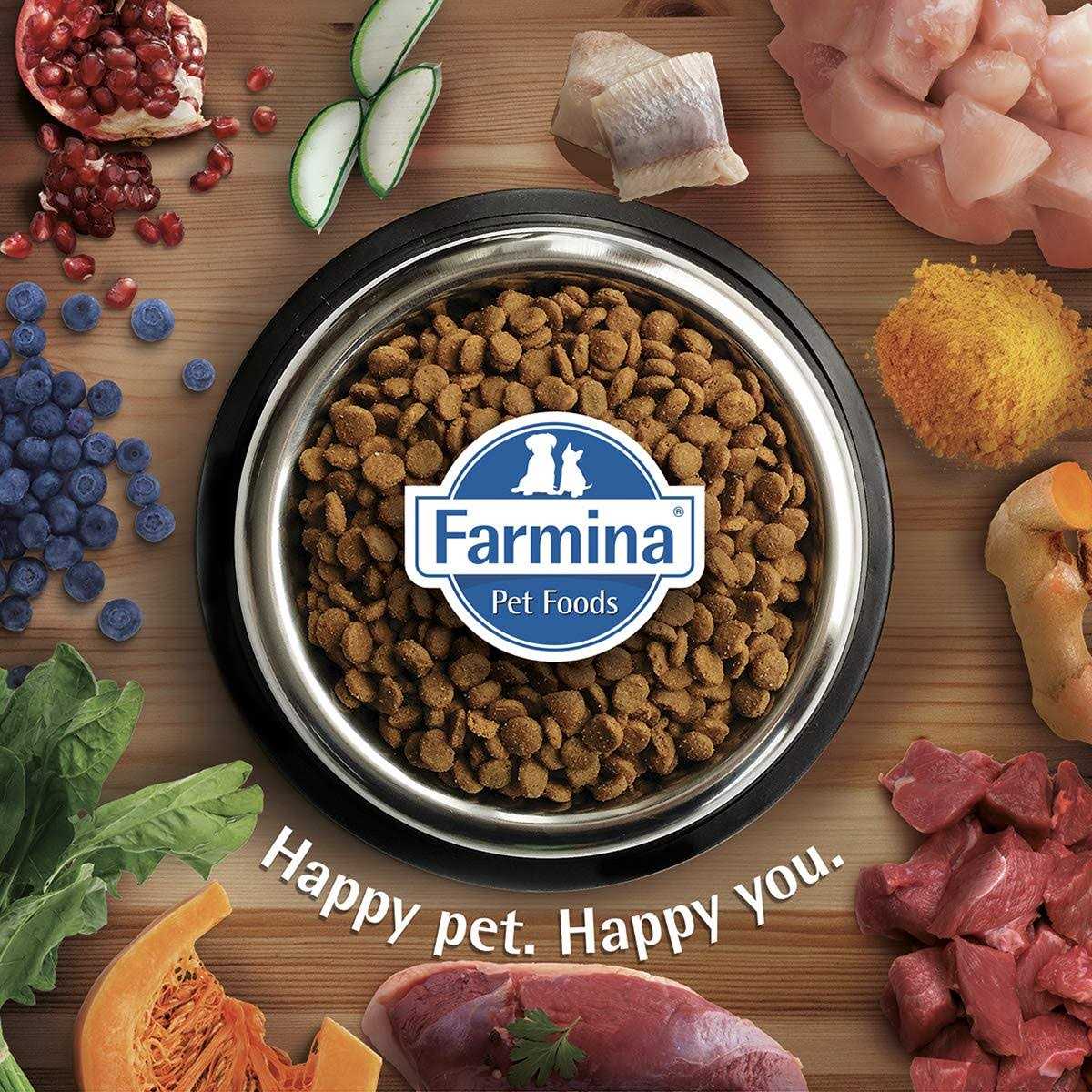 Quinoa Dog Food E957