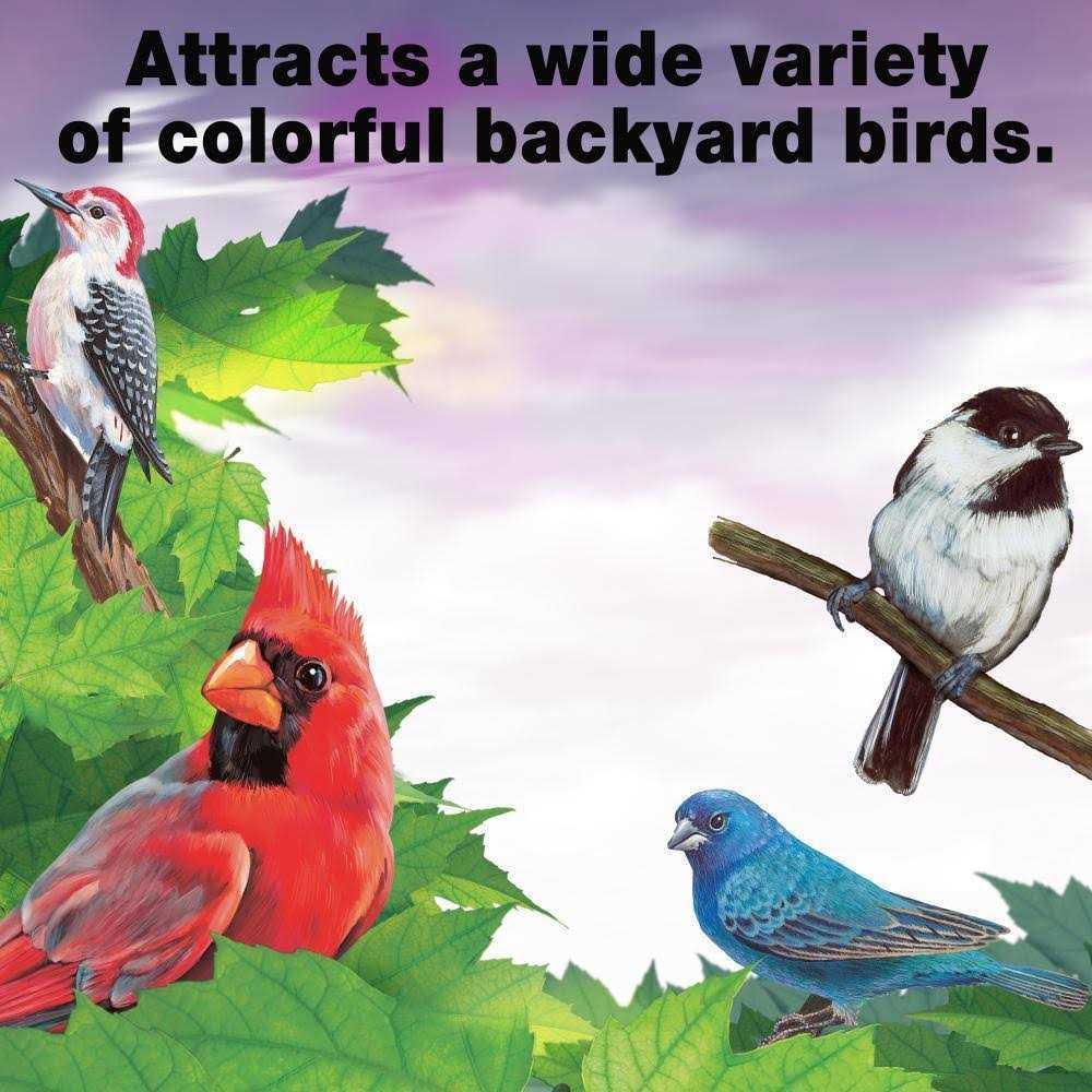 Nut and Fruit Treat Bell Wild Bird Feed S374496