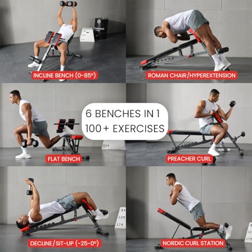 Multi-Functional Weight Bench V6034