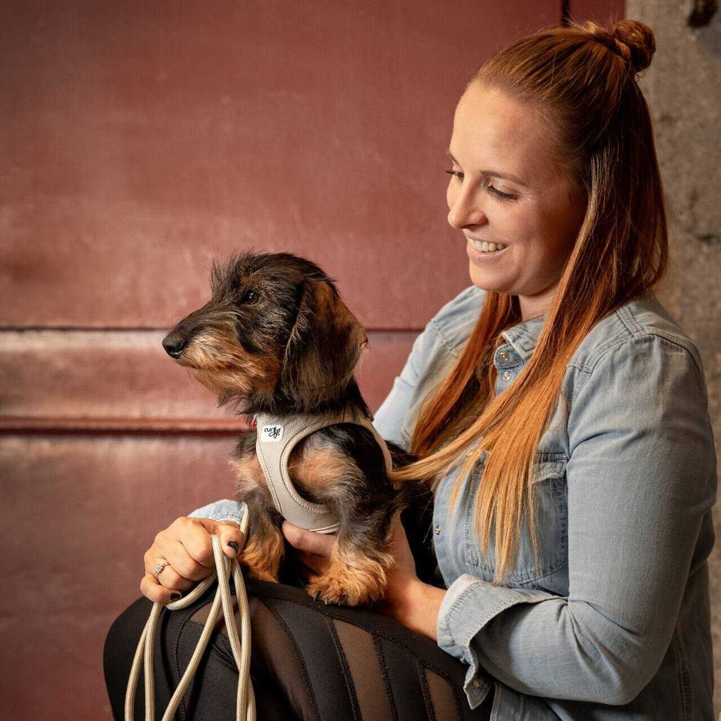 Air-Mesh Dog Harness J10808