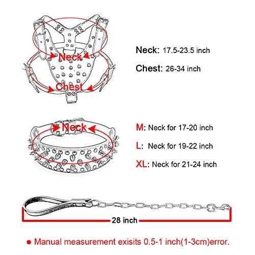 Black Leather Spiked Dog Collar & Leash & Harness 3 Pcs Set B654