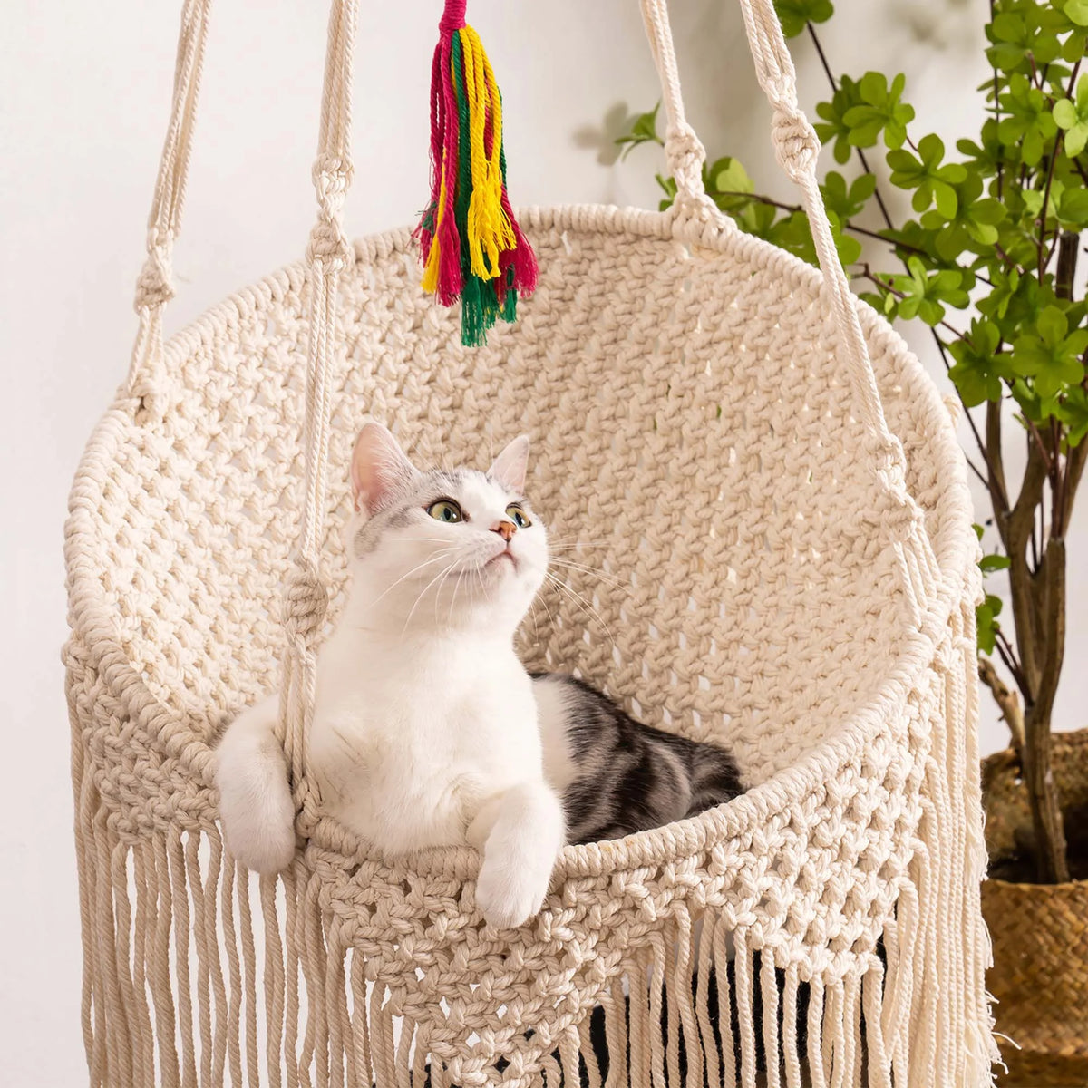 Woven Cotton Cat Hammock Hanging Bed A897403