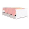 Trundle Y606819