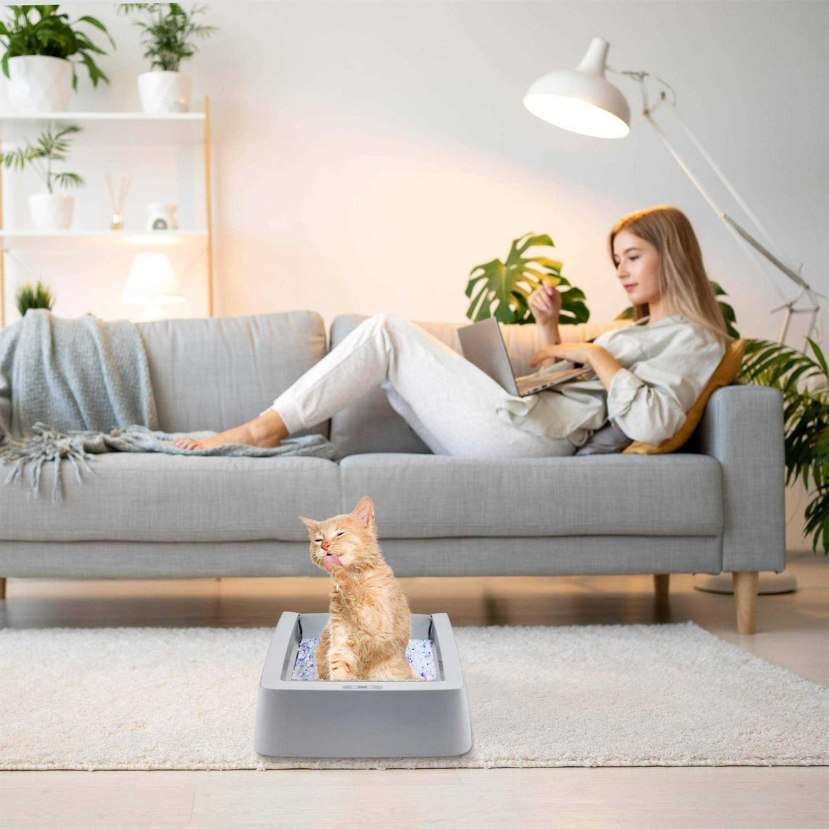 Stainless Steel Reusable Litter Tray S583150