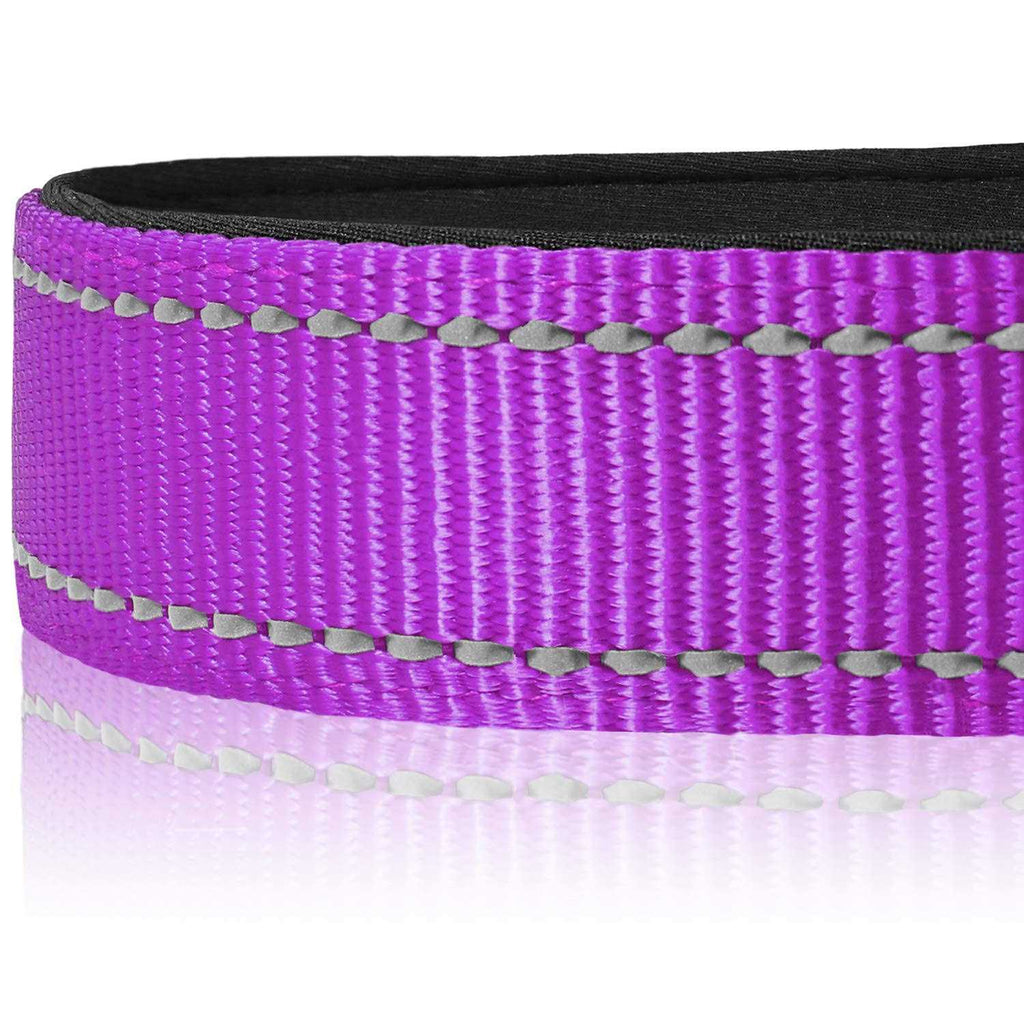 Reflective Neoprene Padded Nylon Adjustable Dog Collar L904831