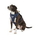Navy Quick-Dry Dog Harness T9919
