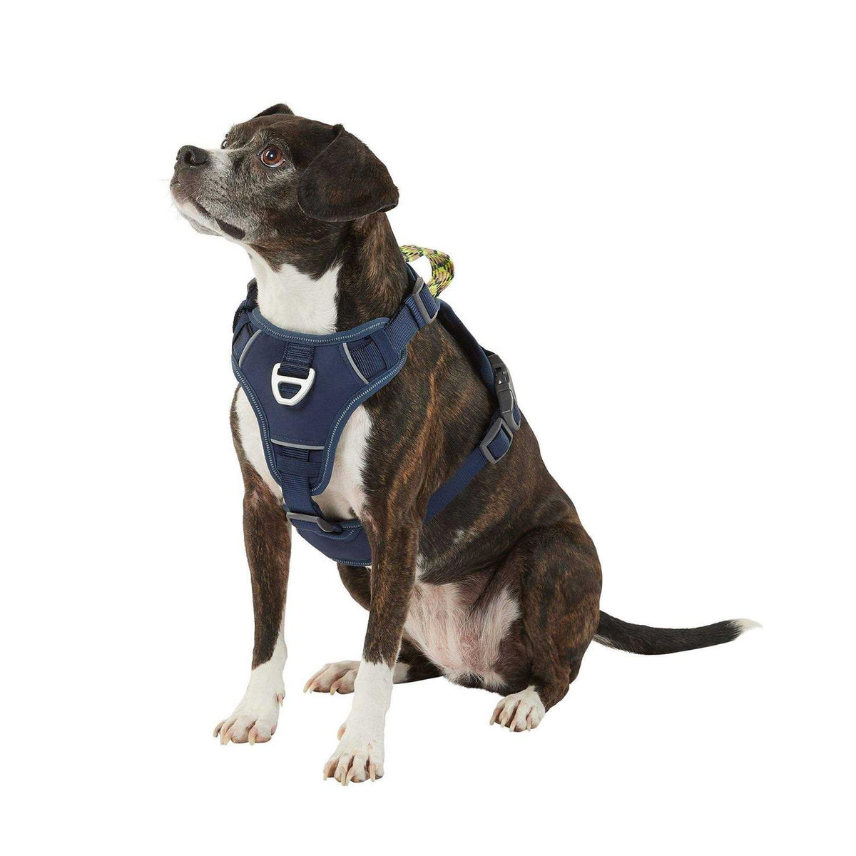 Navy Quick-Dry Dog Harness T9919