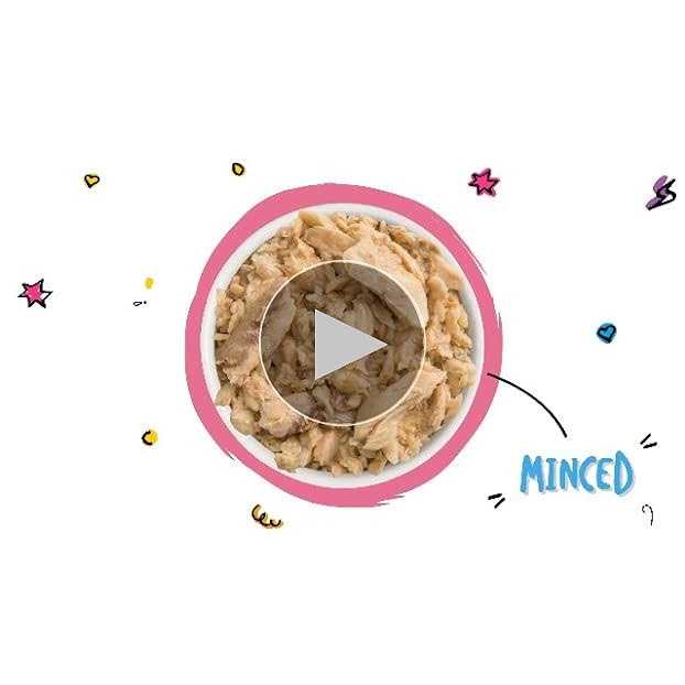 Cat Canned Food T521028