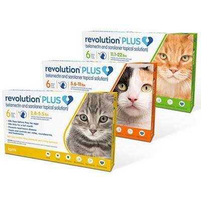 Topical Solution for Cats K411