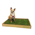 Real Grass Puppy Pee Pads I7462