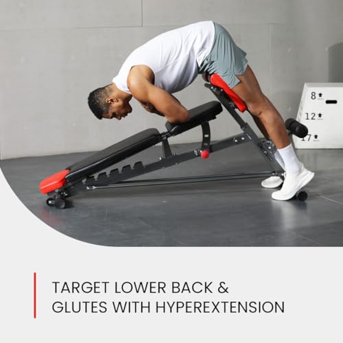 Multi-Functional Weight Bench V6034