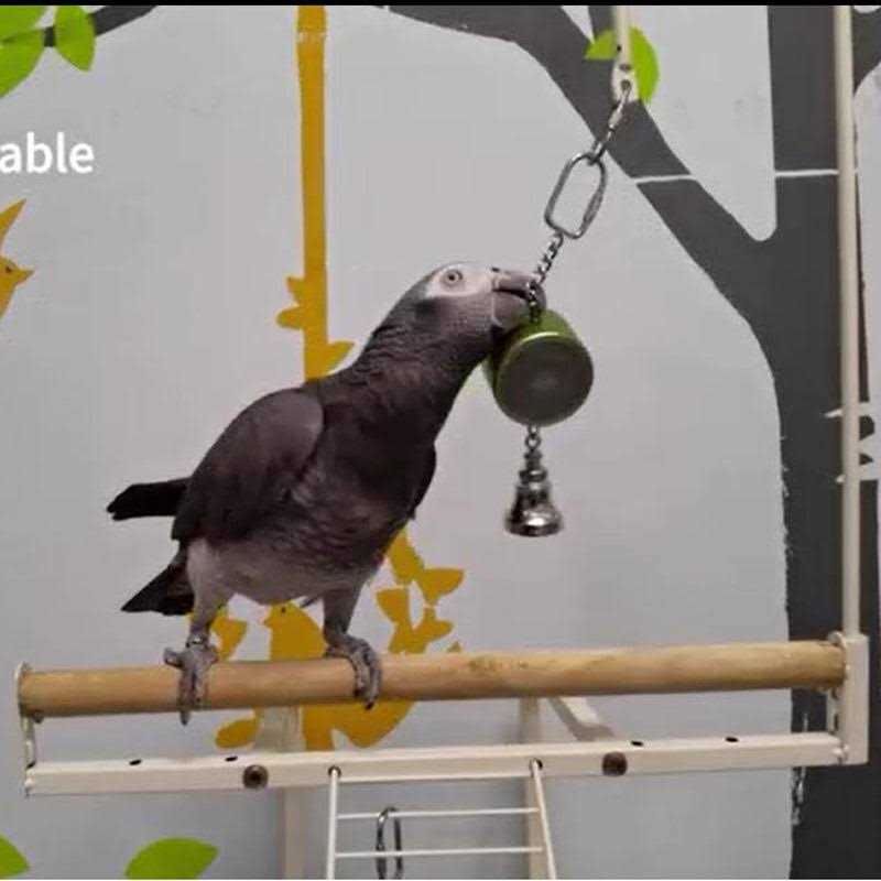 Parrot Toy R7443