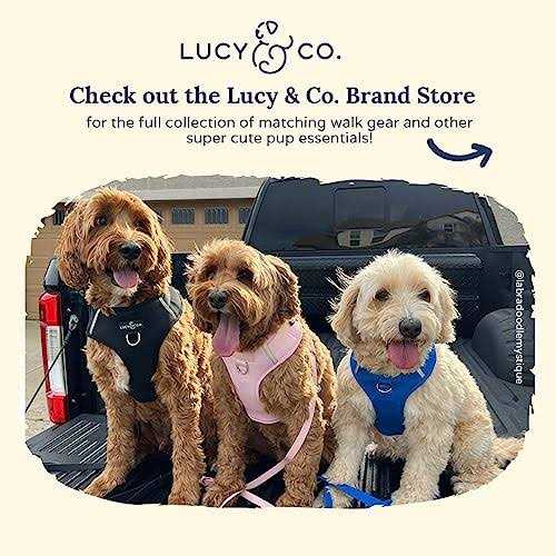 Neoprene Dog Harness S53950