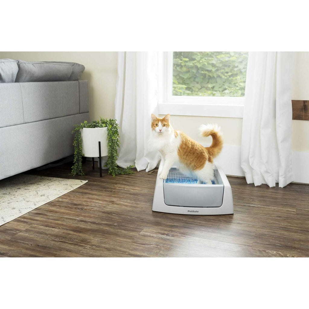 Self-Cleaning Litter Box Q135489
