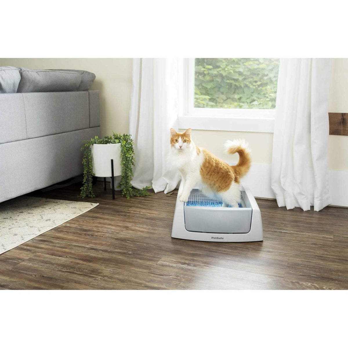 Self-Cleaning Litter Box Q135489