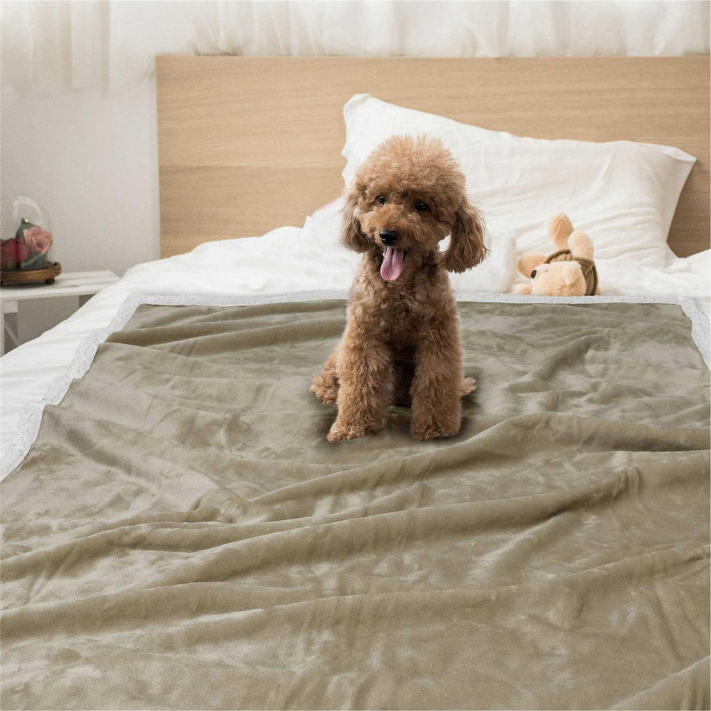Dog Blanket D416