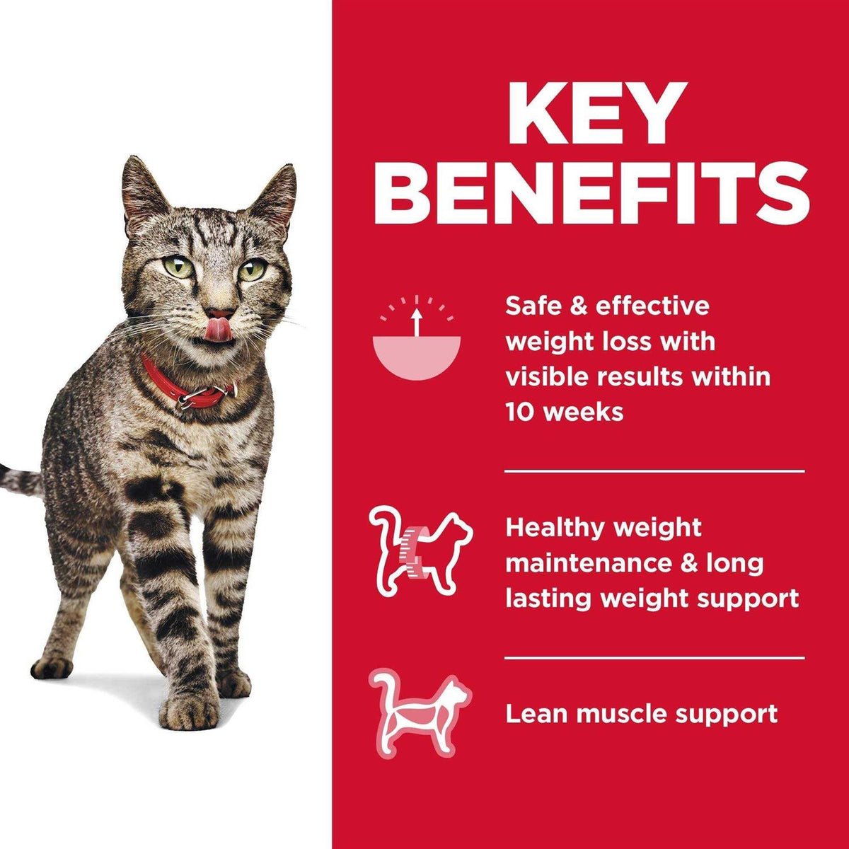 Adult Perfect Weight Cat Food S6095